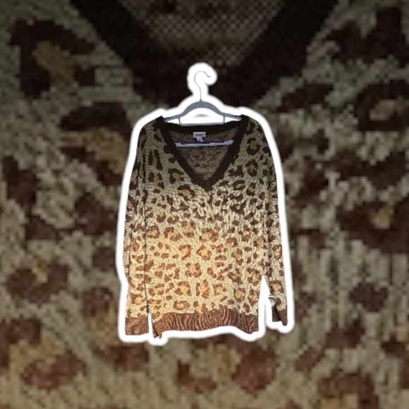 LuLaRoe Sweaters - LuLaRoe Brown Leopard V-Neck Sweater